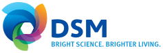 logo-dsm